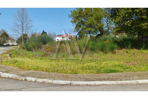 Helårsgrund i Viseu, Viseu, Viseu - € 54.350 | Ref: AV1896_V3 - foto 2