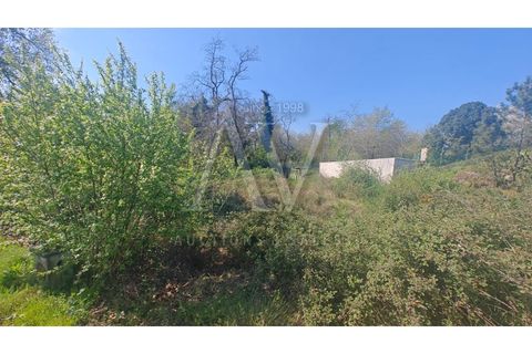 Helårsgrund i Viseu, Viseu, Viseu - € 37.215 | Ref: AV1896_V11 - foto 3