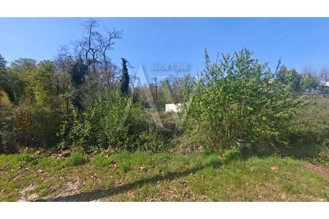Helårsgrund i Viseu, Viseu, Viseu - € 37.215 | Ref: AV1896_V11 - foto 4