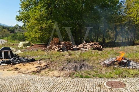 Helårsgrund i Viseu, Viseu, Viseu - € 79.959 | Ref: AV1896_V12 - foto 5