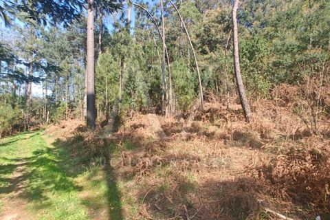 Helårsgrund i Satao, Viseu, Satao - € 9.457 | Ref: AV1896_V18 - foto 1