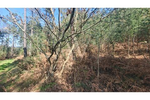 Helårsgrund i Satao, Viseu, Satao - € 9.457 | Ref: AV1896_V18 - foto 2