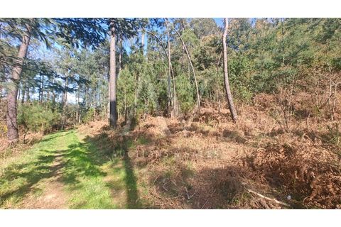 Helårsgrund i Satao, Viseu, Satao - € 9.457 | Ref: AV1896_V18 - foto 4