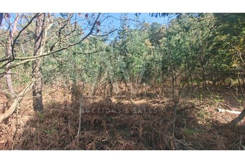Helårsgrund i Satao, Viseu, Satao - € 9.457 | Ref: AV1896_V18 - foto 5