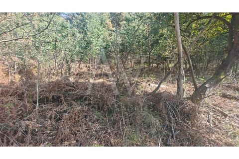 Helårsgrund i Satao, Viseu, Satao - € 9.457 | Ref: AV1896_V18 - foto 6