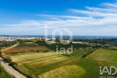 Byhus i Tavira, Faro, Tavira - € 1.800.000 | Ref: 85843 - foto 5