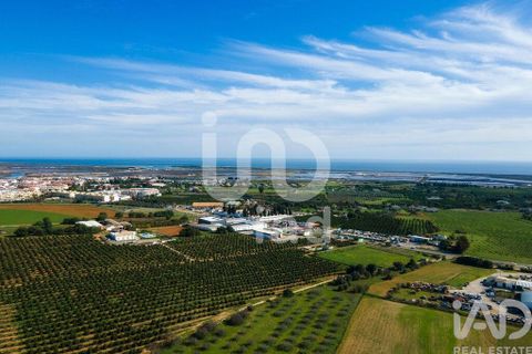 Byhus i Tavira, Faro, Tavira - € 1.800.000 | Ref: 85843 - foto 6