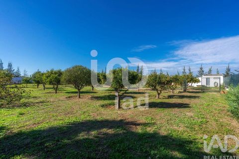 Byhus i Tavira, Faro, Tavira - € 1.800.000 | Ref: 85843 - foto 13