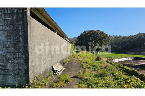 Erhvervsejendom i Vila do Conde, Porto, Vila do Conde - € 230.000 | Ref: 2109 - foto 2