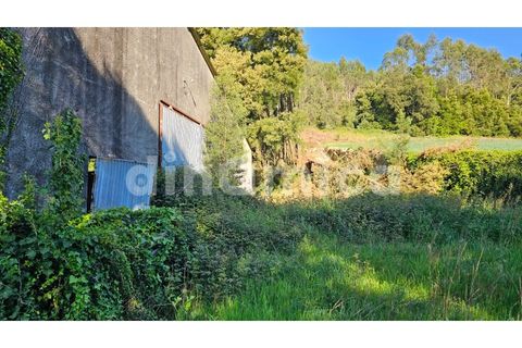 Erhvervsejendom i Vila do Conde, Porto, Vila do Conde - € 230.000 | Ref: 2109 - foto 3