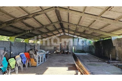 Erhvervsejendom i Vila do Conde, Porto, Vila do Conde - € 230.000 | Ref: 2109 - foto 6