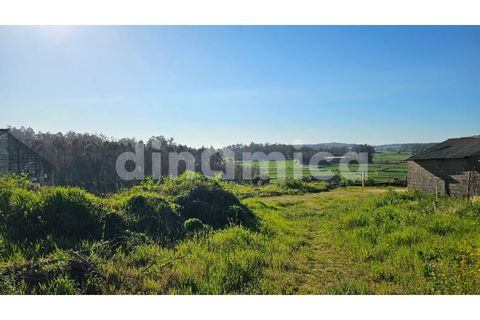 Erhvervsejendom i Vila do Conde, Porto, Vila do Conde - € 230.000 | Ref: 2109 - foto 8
