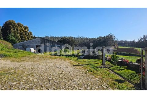 Erhvervsejendom i Vila do Conde, Porto, Vila do Conde - € 230.000 | Ref: 2109 - foto 9