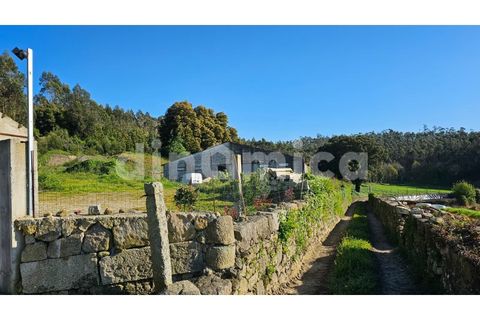 Erhvervsejendom i Vila do Conde, Porto, Vila do Conde - € 230.000 | Ref: 2109 - foto 10