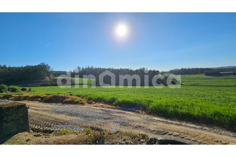 Erhvervsejendom i Vila do Conde, Porto, Vila do Conde - € 230.000 | Ref: 2109 - foto 11