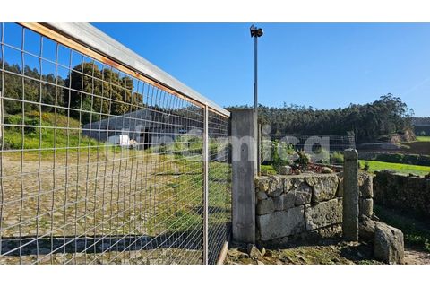 Erhvervsejendom i Vila do Conde, Porto, Vila do Conde - € 230.000 | Ref: 2109 - foto 12