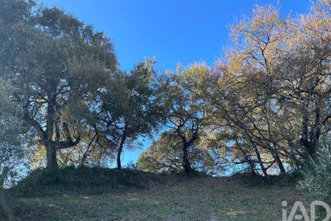 Grond in Tomar, Santarem, Tomar - € 45.000 | Ref: 850945 - foto 2