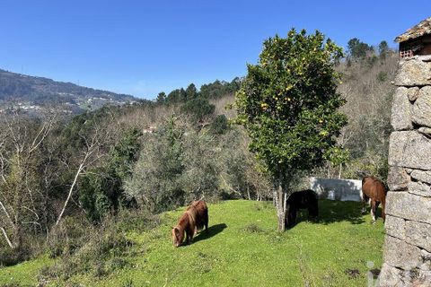 Byhus i Baiao, Porto, Baiao - € 62.000 | Ref: 857725 - foto 18