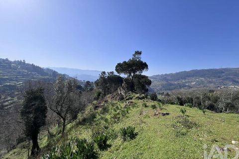 Byhus i Baiao, Porto, Baiao - € 62.000 | Ref: 857725 - foto 20