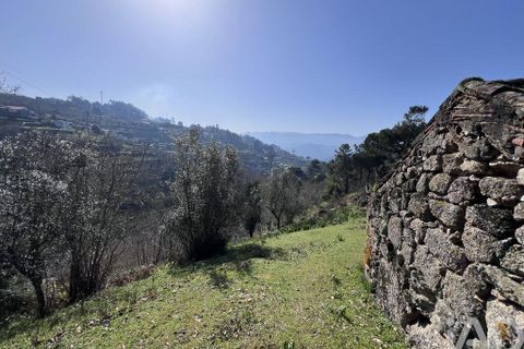 Byhus i Baiao, Porto, Baiao - € 62.000 | Ref: 857725 - foto 22