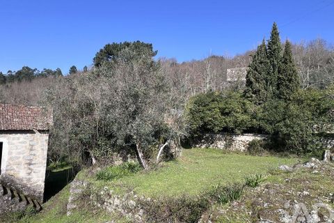 Byhus i Baiao, Porto, Baiao - € 62.000 | Ref: 857725 - foto 24