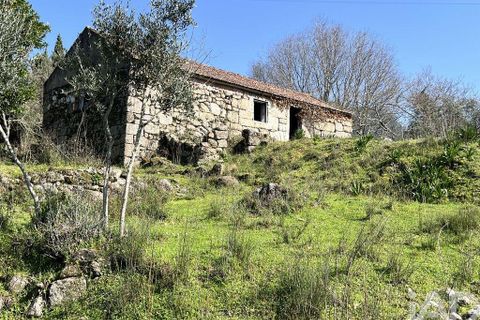 Byhus i Baiao, Porto, Baiao - € 62.000 | Ref: 857725 - foto 29