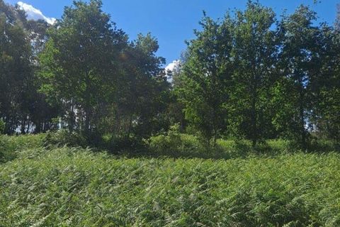 Terra a Penafiel, Porto, Penafiel - € 105.000 | Ref: 863487 - foto 2
