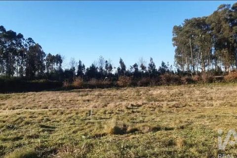 Terra a Penafiel, Porto, Penafiel - € 105.000 | Ref: 863487 - foto 4