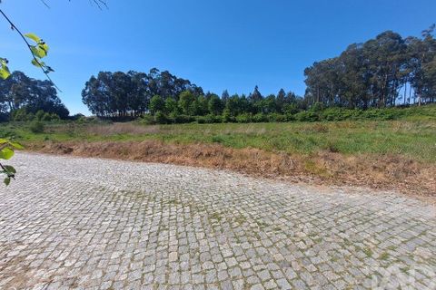 Terra a Penafiel, Porto, Penafiel - € 105.000 | Ref: 863487 - foto 5