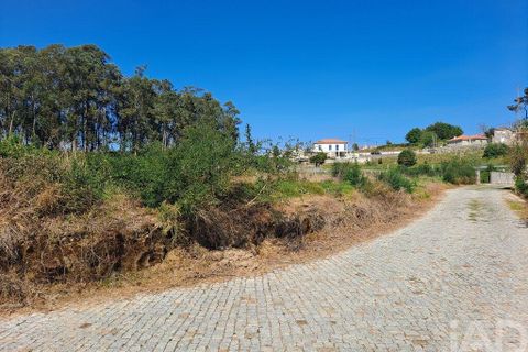 Terra a Penafiel, Porto, Penafiel - € 105.000 | Ref: 863487 - foto 7