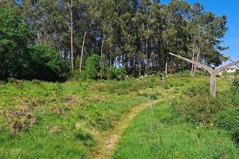 Terra a Penafiel, Porto, Penafiel - € 105.000 | Ref: 863487 - foto 8