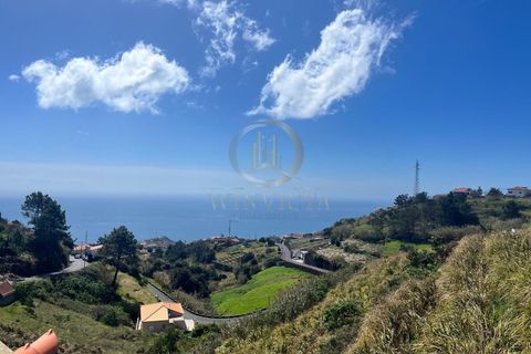 Erhvervsejendom i Ponta do Sol, Madeira, Ponta do Sol - € 495.000 | Ref: CAS_153 - foto 3
