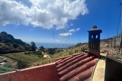 Erhvervsejendom i Ponta do Sol, Madeira, Ponta do Sol - € 495.000 | Ref: CAS_153 - foto 6