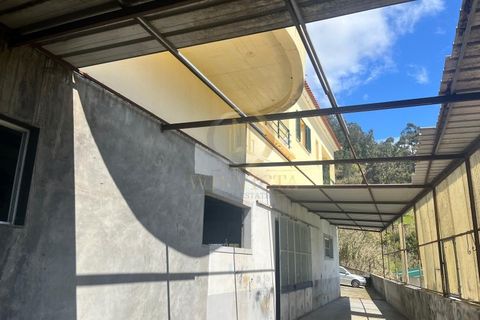 Erhvervsejendom i Ponta do Sol, Madeira, Ponta do Sol - € 495.000 | Ref: CAS_153 - foto 16