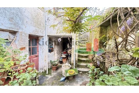 Villa i Rio Maior, Santarem, Rio Maior - € 150.000 | Ref: 112.26 - foto 11