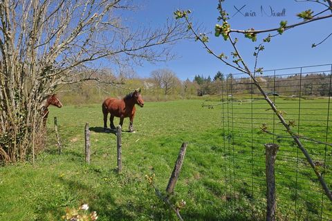 Villa a Louhans, Saone-et-Loire, Louhans - € 879.000 | Ref: 340938856135 - foto 36