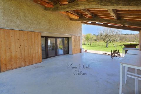 Villa a Louhans, Saone-et-Loire, Louhans - € 879.000 | Ref: 340938856135 - foto 49