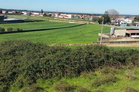Helårsgrund i Vila do Conde, Porto, Vila do Conde - € 100.000 | Ref: 861831 - foto 3