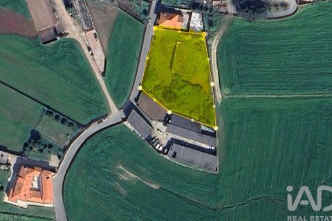 Helårsgrund i Vila do Conde, Porto, Vila do Conde - € 100.000 | Ref: 861831 - foto 30