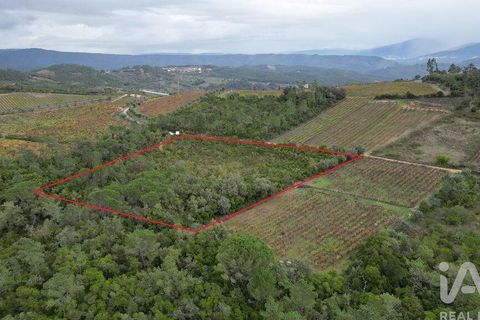 Helårsgrund i Condeixa-a-Nova, Coimbra, Condeixa-a-Nova - € 35.000 | Ref: 856491 - foto 1