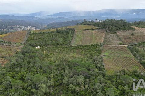 Helårsgrund i Condeixa-a-Nova, Coimbra, Condeixa-a-Nova - € 35.000 | Ref: 856491 - foto 2