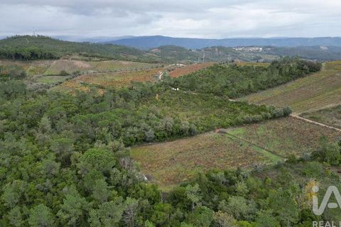 Helårsgrund i Condeixa-a-Nova, Coimbra, Condeixa-a-Nova - € 35.000 | Ref: 856491 - foto 4