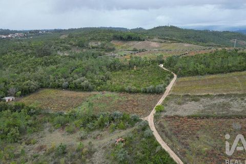 Helårsgrund i Condeixa-a-Nova, Coimbra, Condeixa-a-Nova - € 35.000 | Ref: 856491 - foto 6