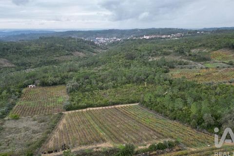 Helårsgrund i Condeixa-a-Nova, Coimbra, Condeixa-a-Nova - € 35.000 | Ref: 856491 - foto 10