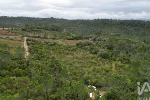 Helårsgrund i Condeixa-a-Nova, Coimbra, Condeixa-a-Nova - € 35.000 | Ref: 856491 - foto 15