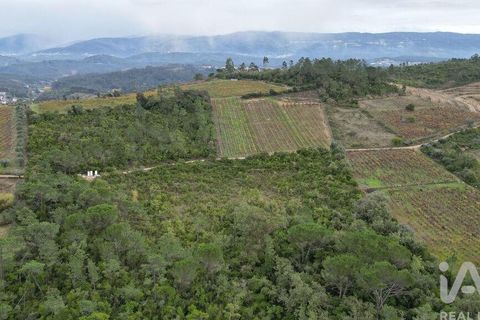 Helårsgrund i Condeixa-a-Nova, Coimbra, Condeixa-a-Nova - € 35.000 | Ref: 856491 - foto 18