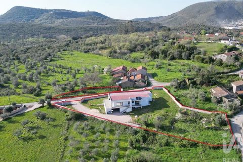 Byhus i Penela, Coimbra, Penela - € 410.000 | Ref: 861228 - foto 38