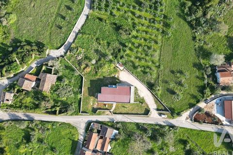 Byhus i Penela, Coimbra, Penela - € 410.000 | Ref: 861228 - foto 39