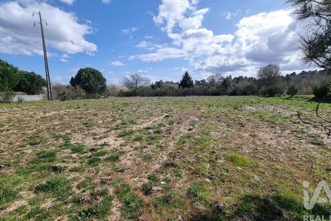 Helårsgrund i Guarda, Guarda, Guarda - € 95.000 | Ref: 860861 - foto 12