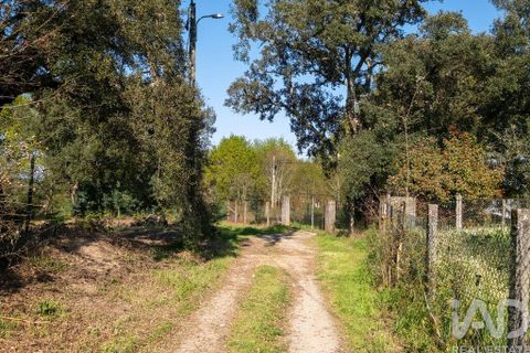 Terra a Santa Comba Dao, Viseu, Santa Comba Dao - € 10.000 | Ref: 861867 - foto 2